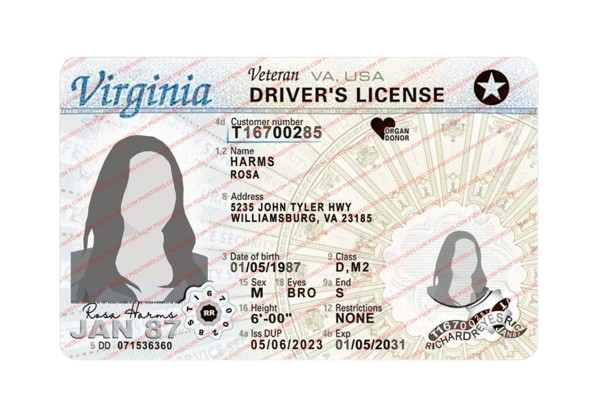 Certified driver's license translation into German